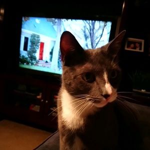 Meet your Posher, Sal